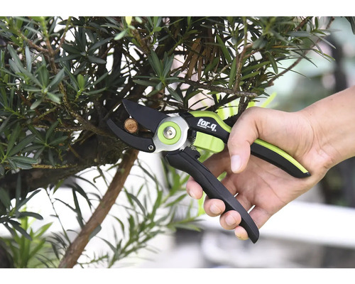 Eine Person schneidet einen Ast mit einer Gartenschere der Marke For Q.