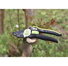 Gartenschere zum Beschneiden von Ästen