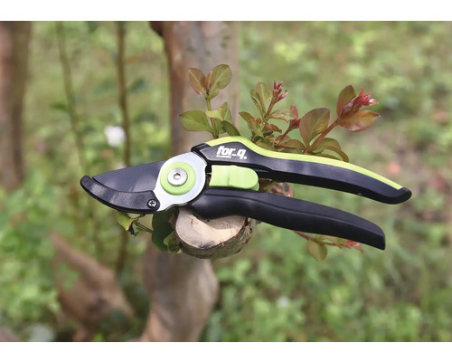 Gartenschere zum Beschneiden von Ästen