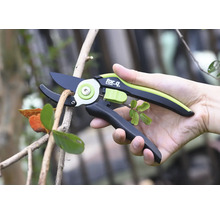 Eine Person hält eine Gartenschere beim Schneiden eines Astes.