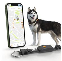 Hund mit GPS-Trackerhalsband und Smartphone-App zur Standortverfolgung