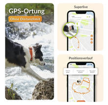 Produktabbildung: Hund mit GPS Tracker Halsband am Fluss und Smartphone-App zur Positionsbestimmung