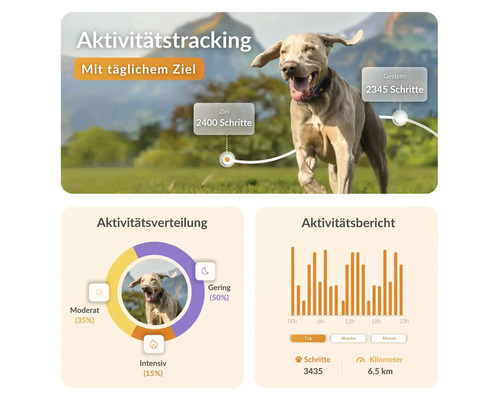 Aktivitätstracking-Anzeige mit täglichem Ziel, Aktivitätsverteilung und Aktivitätsbericht für Hunde