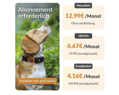 Hund mit GPS Tracker Halsband und Informationen zu Abonnementpreisen
