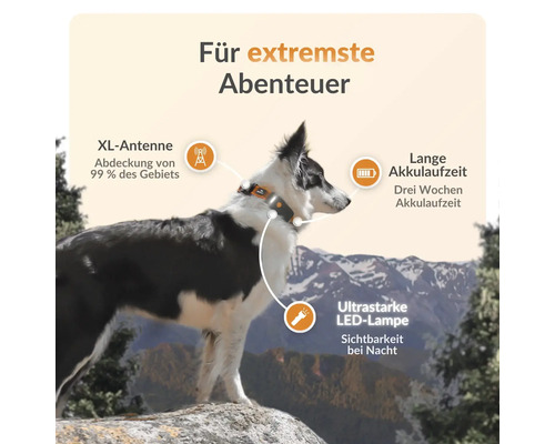 Hund mit GPS Tracker Halsband für extreme Abenteuer mit langer Akkulaufzeit und LED Lampe