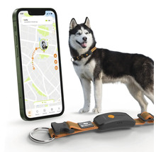 Ein Hund mit einem Peilsender-Halsband der neben einem Smartphone steht, das die Position des Hundes anzeigt.