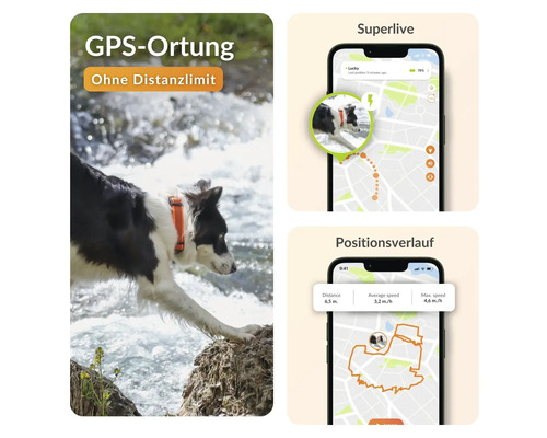 GPS Ortung für Haustiere mit zugehöriger Smartphone App zur Positionsbestimmung eines Hundes.