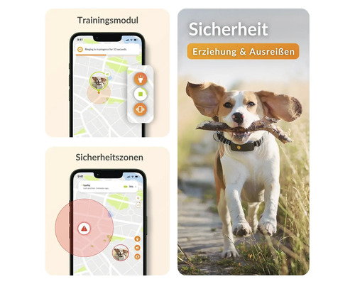 Illustration eines Hundetrackers mit zugehöriger Smartphone-App zur Überwachung von Trainingsmodulen und Sicherheitszonen.