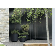 Außenbereich mit Pflanzen in Töpfen vor einem modernen Gebäude