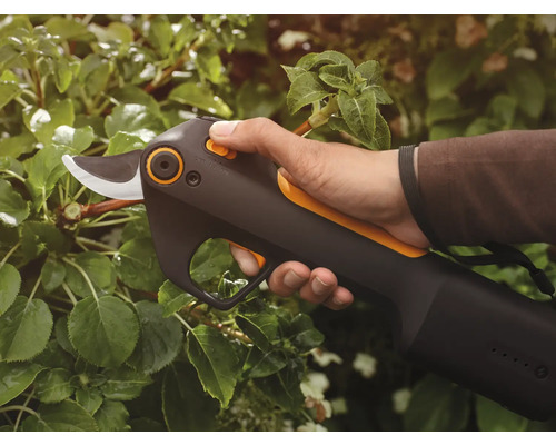 Akkubetriebene Gartenschere im Einsatz an einer Pflanze