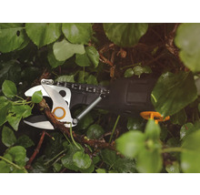 Akku-Astschere schneidet Ast zwischen grünen Blättern