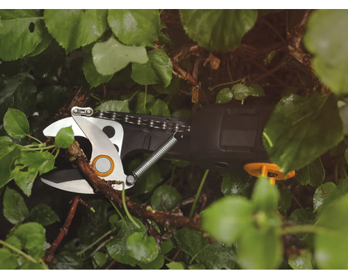 Akku-Astschere schneidet Ast zwischen grünen Blättern