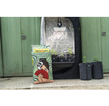 Flora Gard Professional Growmix Organic neben Growbox und Pflanzen