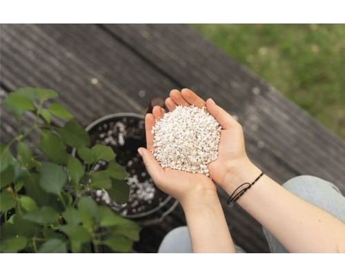 Hände halten Blähperlit für Pflanzen vor einem Topf mit Pflanze.