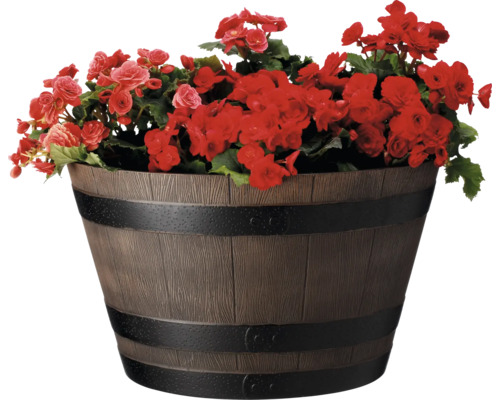 Blumentopf in Fassoptik mit roten Blumen