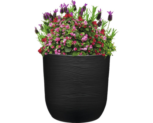 Blumenarrangement in schwarzem Pflanzgefäß