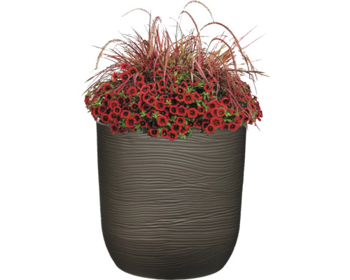 Blumentopf mit roten Blüten und Ziergras