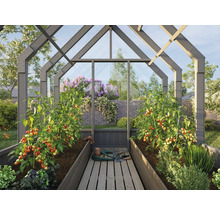 Gewächshaus mit Tomatenpflanzen und Gartenzubehör.