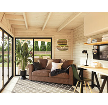 Helles Wohnzimmer mit Sofa, Schreibtisch und Pflanze in einem Gartenhaus