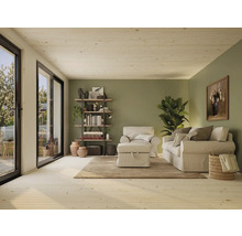 Heller Wohnraum mit Sofa, Sessel, Regal und Zimmerpflanze