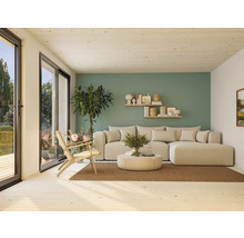 Helles Wohnzimmer mit Sofa, Sessel, Teppich und Dekoration