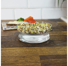 Sprossen in einem Glasbehälter auf einer Holzoberfläche