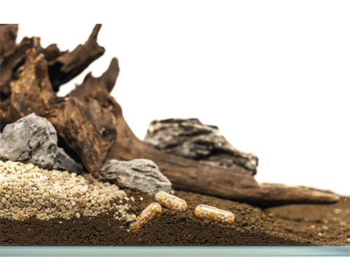 Aquarienszene mit Düngerkapseln, Kies, Steinen und Wurzelholz