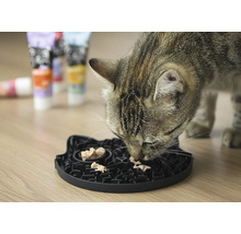 Katze frisst aus einem interaktiven Futterbrett.