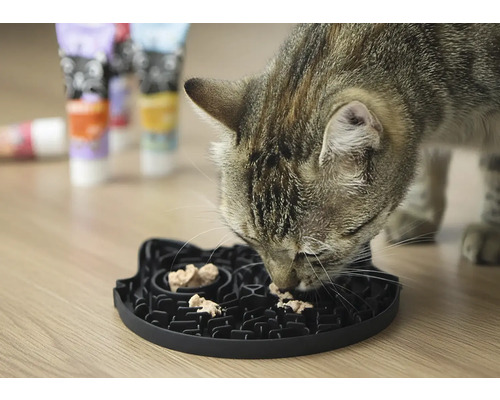 Katze frisst aus einem interaktiven Futterbrett.