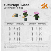 Kulturtopf-Ratgeber mit Informationen zu Topfgrößen und Pflanzgefäßen