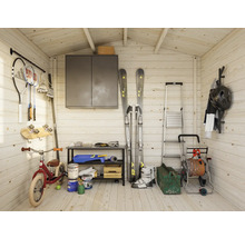 Organisierter Geräteschuppen mit Sportartikeln, Werkzeugen und Gartenzubehör.