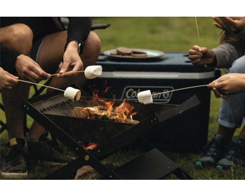 Szene mit Personen, die Marshmallows über einem Lagerfeuer rösten, mit einer Kühlbox und Keksen im Hintergrund.