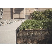 Nahaufnahme von einer Rasenkante mit Gras und Bodenschicht