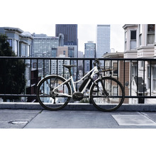 Elektrofahrrad vor Stadtkulisse