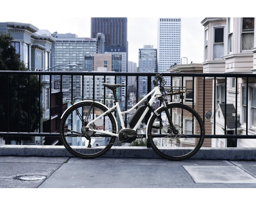 Elektrofahrrad vor Stadtkulisse