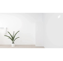 Helle Inneneinrichtung mit Zimmerpflanze, Handtuchhalter und Handtuch