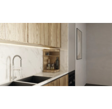 Küchenszene mit Spüle, Wasserhahn, Hängeschränken und Regal