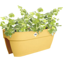 Gelber Balkonkasten mit Efeu