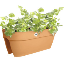 Balkonkasten mit Efeu und Elho Logo