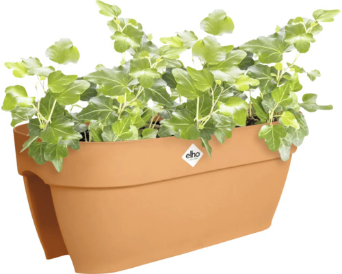 Balkonkasten mit Efeu und Elho Logo