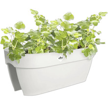 Weißer Blumenkasten mit Efeu