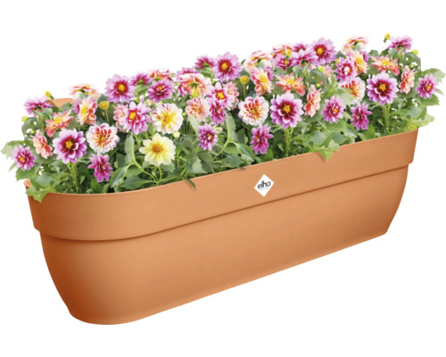 Blumenkasten mit bunten Dahlien und Elho Logo