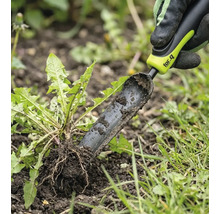 Unkrautstecher im Einsatz zum Entfernen von Löwenzahn