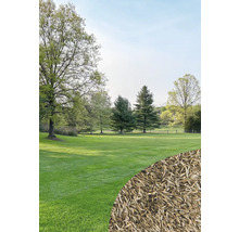 Landschaftsbild mit Rasenfläche, Bäumen und Rasensamen im Vordergrund