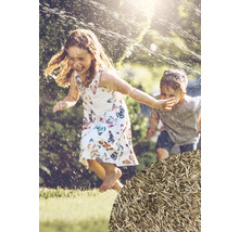 Kinder spielen im Garten mit Grassamen im Vordergrund.