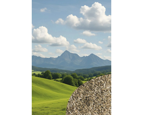 Illustration von Rasensamen vor einer Landschaft