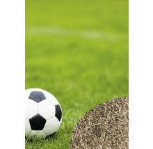 Fußball und Rasensamen auf einem Rasen