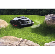 Mähroboter auf Rasenfläche