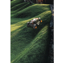 Rasenmähroboter auf einem Rasenhügel