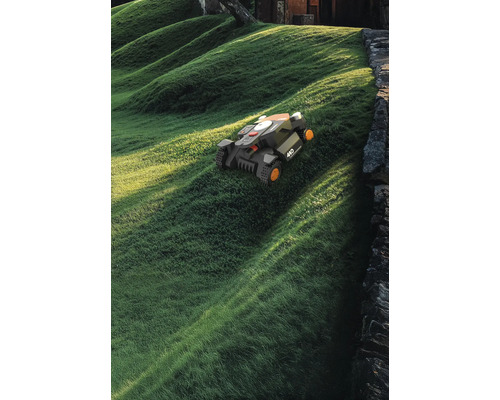 Rasenmähroboter auf einem grasbewachsenen Hügel